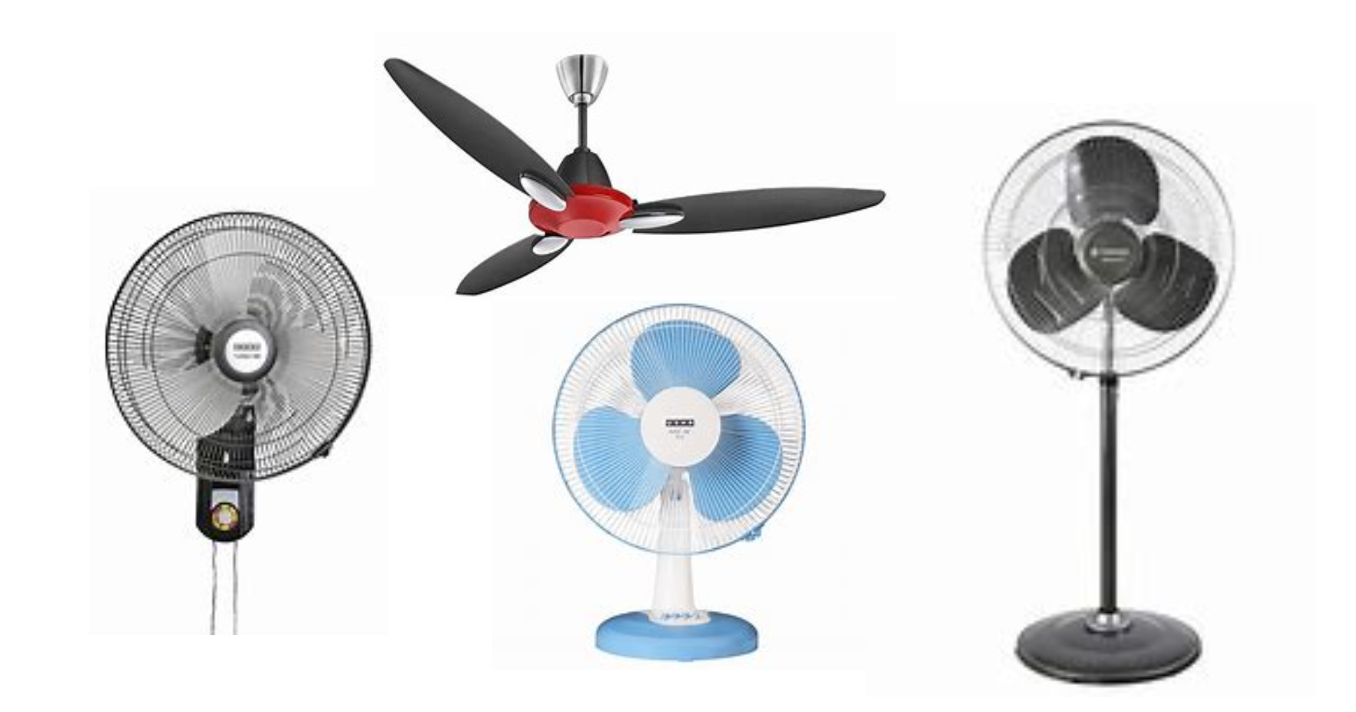 Fan